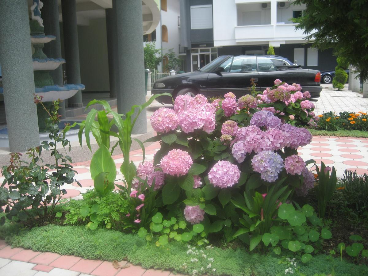 Guest House Vila Mimoza Улцинь Экстерьер фото