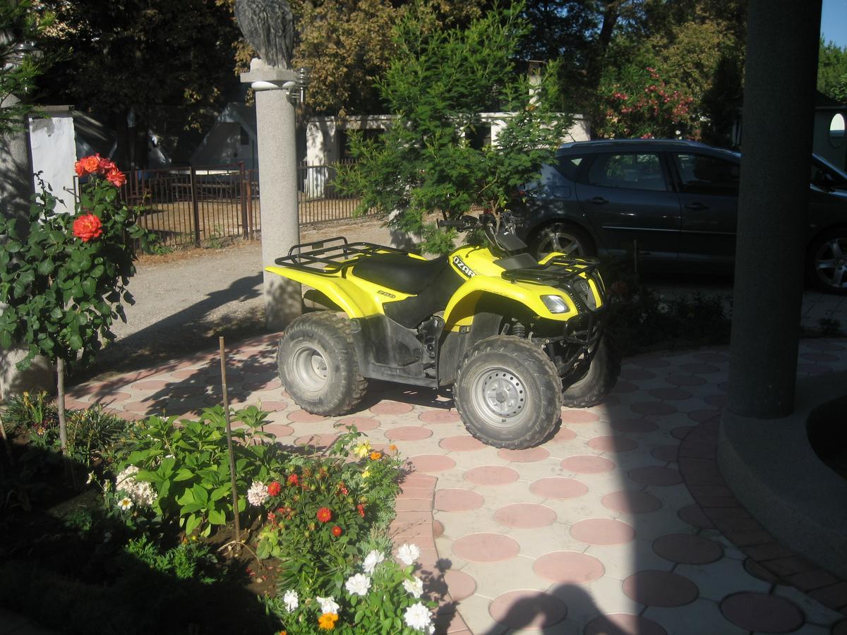 Guest House Vila Mimoza Улцинь Экстерьер фото